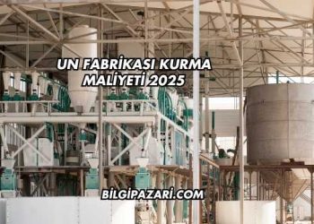 Un Fabrikası Kurma Maliyeti 2025