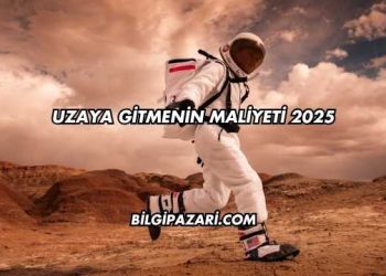 Uzaya Gitmenin Maliyeti 2025