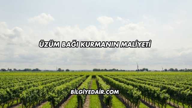 Üzüm Bağı Kurmanın Maliyeti