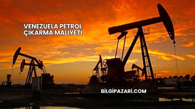 Venezuela Petrol Çıkarma Maliyeti
