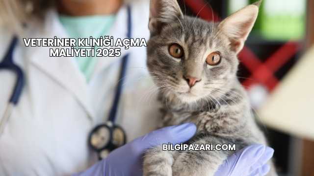 Veteriner Kliniği Açma Maliyeti 2025