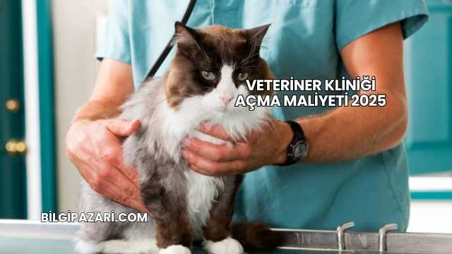 Veteriner Kliniği Açma Maliyeti 2025