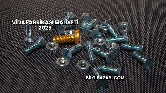 Vida Fabrikası Maliyeti 2025