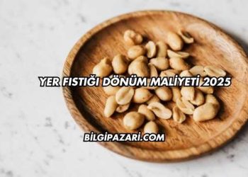Yer Fıstığı Dönüm Maliyeti 2025