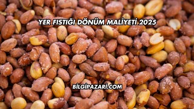Yer Fıstığı Dönüm Maliyeti 2025