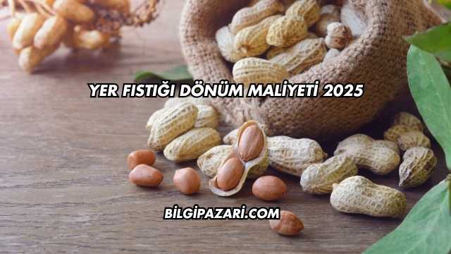 Yer Fıstığı Dönüm Maliyeti 2025