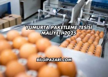 Yumurta Paketleme Tesisi Maliyeti 2025