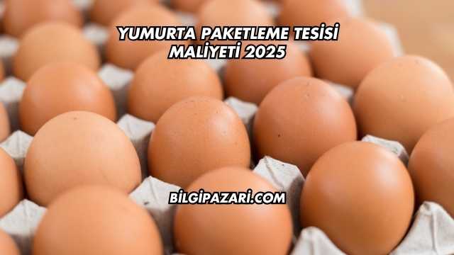 Yumurta Paketleme Tesisi Maliyeti 2025