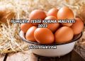 Yumurta Tesisi Kurma Maliyeti 2025