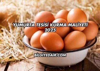 Yumurta Tesisi Kurma Maliyeti 2025