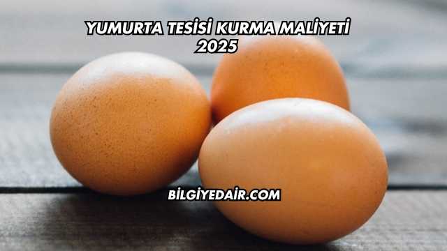 Yumurta Tesisi Kurma Maliyeti 2025