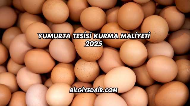 Yumurta Tesisi Kurma Maliyeti 2025