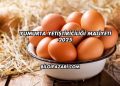 Yumurta Yetiştiriciliği Maliyeti 2025