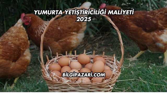 Yumurta Yetiştiriciliği Maliyeti 2025