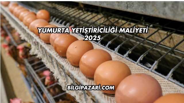 Yumurta Yetiştiriciliği Maliyeti 2025