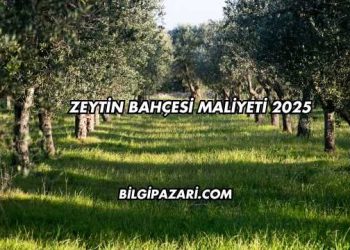 Zeytin Bahçesi Maliyeti 2025