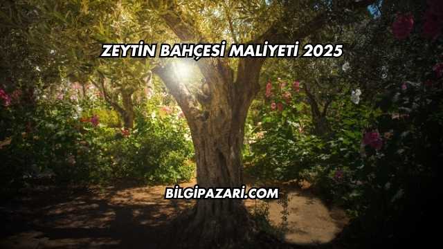 Zeytin Bahçesi Maliyeti 2025