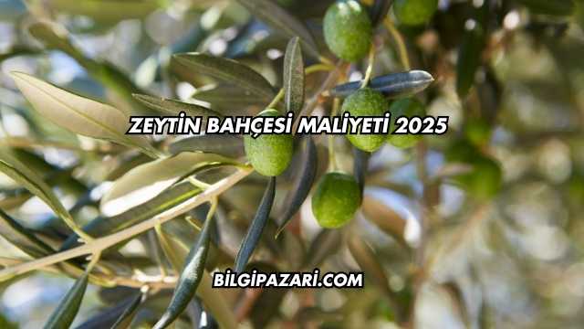Zeytin Bahçesi Maliyeti 2025