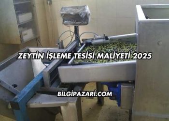 Zeytin İşleme Tesisi Maliyeti 2025