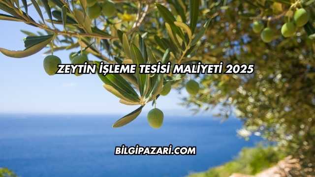 Zeytin İşleme Tesisi Maliyeti 2025