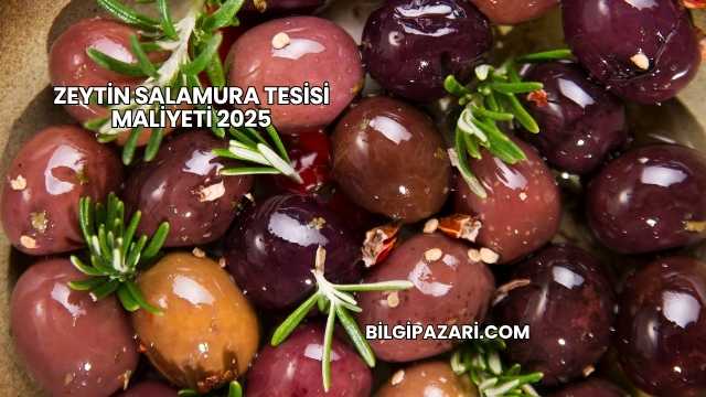 Zeytin Salamura Tesisi Maliyeti 2025