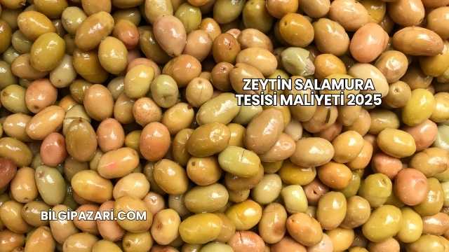 Zeytin Salamura Tesisi Maliyeti 2025
