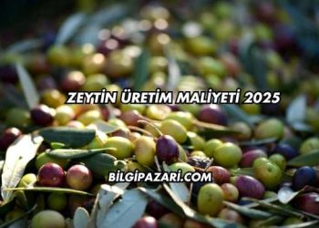 Zeytin Üretim Maliyeti 2025