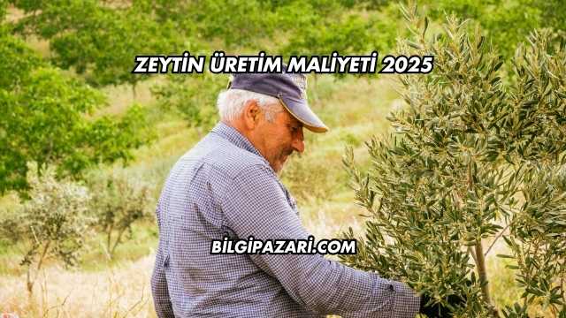 Zeytin Üretim Maliyeti 2025