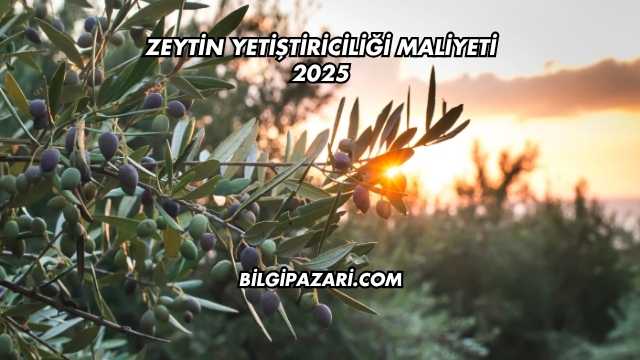 Zeytin Yetiştiriciliği Maliyeti 2025