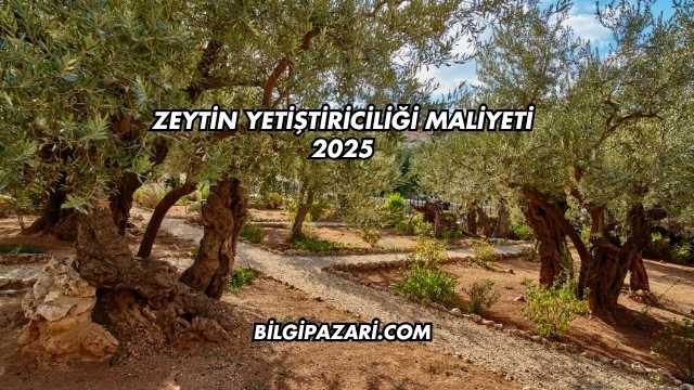 Zeytin Yetiştiriciliği Maliyeti 2025