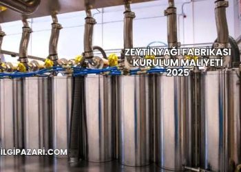 Zeytinyağı Fabrikası Kurulum Maliyeti 2025