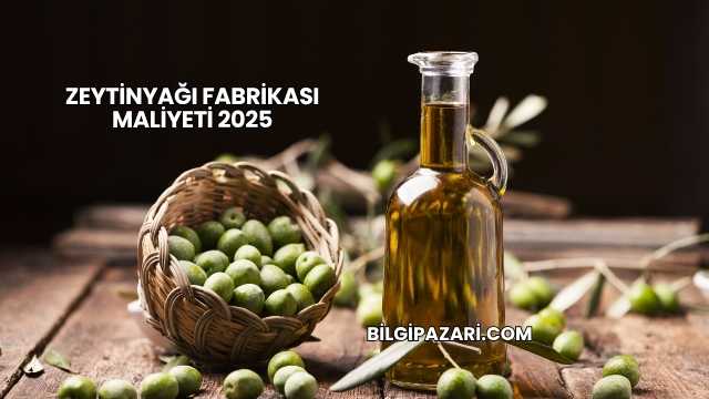 Zeytinyağı Fabrikası Maliyeti 2025