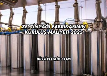 Zeytinyağı Fabrikasının Kuruluş Maliyeti 2025