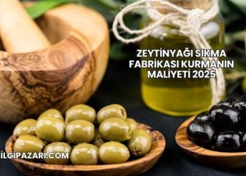 Zeytinyağı Sıkma Fabrikası Kurmanın Maliyeti 2025