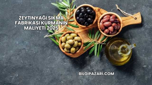 Zeytinyağı Sıkma Fabrikası Kurmanın Maliyeti 2025