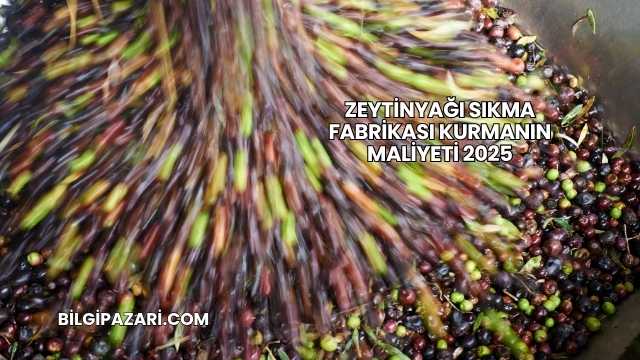 Zeytinyağı Sıkma Fabrikası Kurmanın Maliyeti 2025