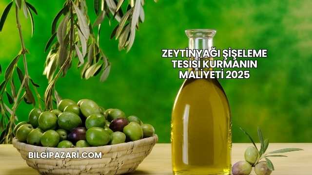 Zeytinyağı Şişeleme Tesisi Kurmanın Maliyeti 2025