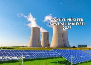 Akkuyu Nükleer Santrali Maliyeti 2025
