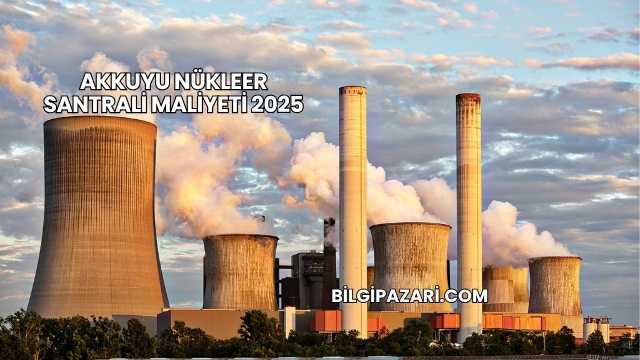 Akkuyu Nükleer Santrali Maliyeti 2025