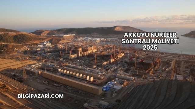 Akkuyu Nükleer Santrali Maliyeti 2025
