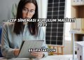 Cep Sineması Kurulum Maliyeti 2025