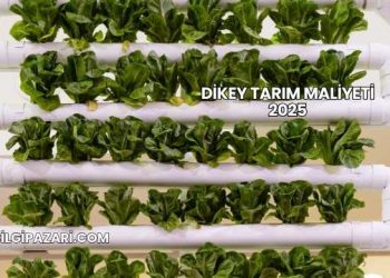 Dikey Tarım Maliyeti 2025