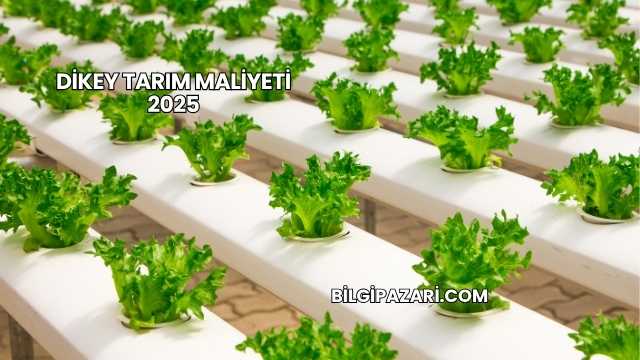 Dikey Tarım Maliyeti 2025