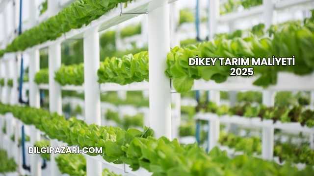 Dikey Tarım Maliyeti 2025
