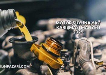 Motor Suyuna Yağ Karışması Maliyeti 2025