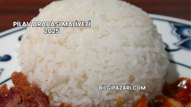 Pilav Arabası Maliyeti 2025