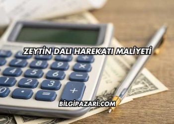 Zeytin Dalı Harekatı Maliyeti