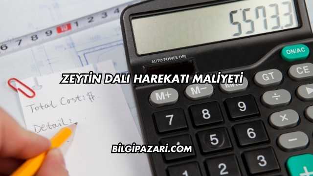 Zeytin Dalı Harekatı Maliyeti