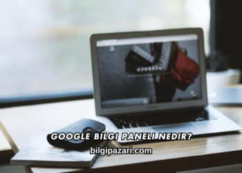 Google Bilgi Paneli Nedir?