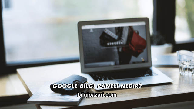 Google Bilgi Paneli Nedir?